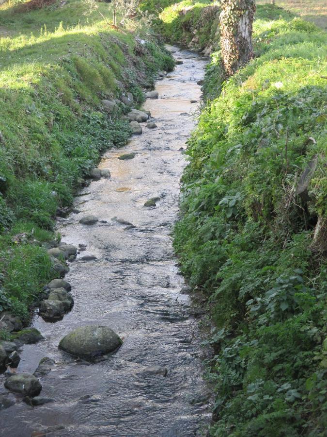 Podere Pian Dei Gelsi Volterra Exteriér fotografie