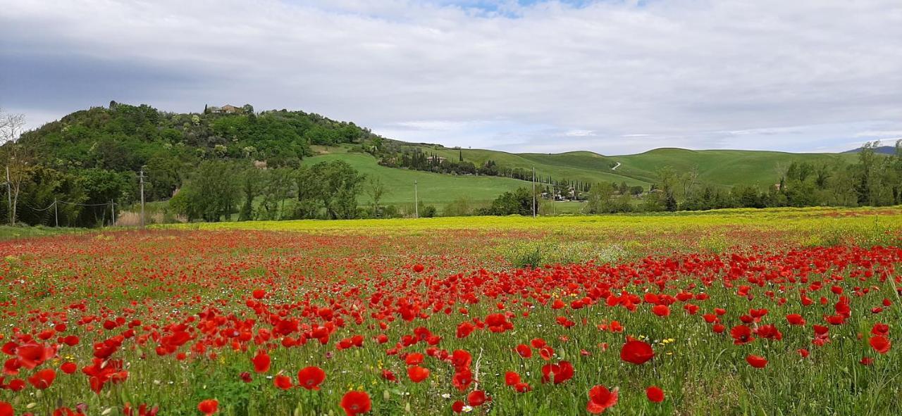 Podere Pian Dei Gelsi Volterra Exteriér fotografie